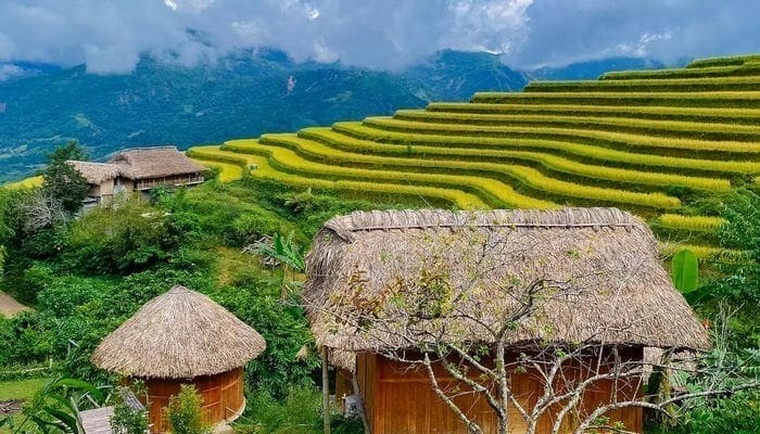 Nam Hong